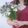Albion Black Pod - Nigella Seed