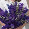 Galilee Blue - Organic Larkspur Seed