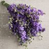 QIS? Lilac - Larkspur Seed