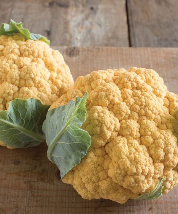 Flame Star - (F1) Orange Cauliflower Seeds
