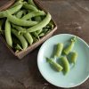 PLS 141 - Organic Pea Seed