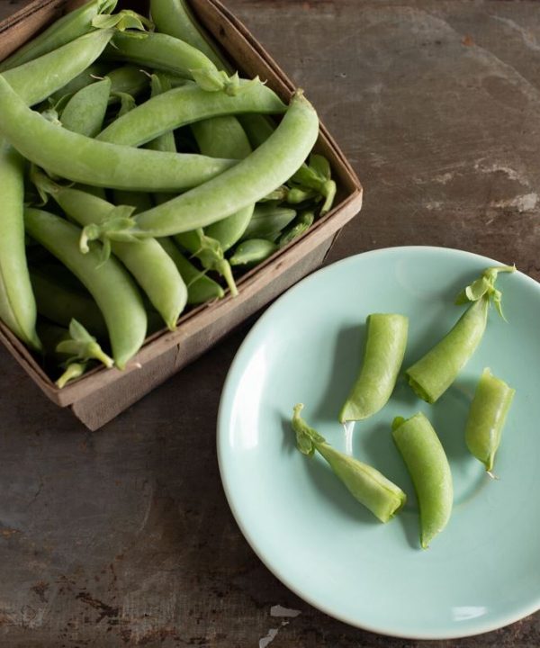 PLS 141 - Organic Pea Seed