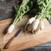 Mini Mak - (F1) Radish Seed