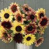 Strawberry Lemonade Mix - Sunflower Seed