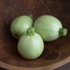 Cue Ball - (F1) Squash Seed