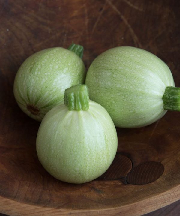 Cue Ball - (F1) Squash Seed