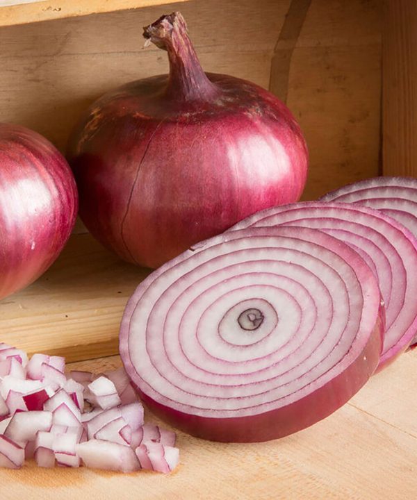 Monastrell - Organic (F1) Onion Seed