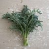 Spigariello Riccia - Broccoli Seed