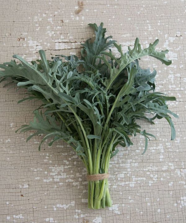 Spigariello Riccia - Broccoli Seed