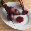 Rhonda - Organic (F1) Beet Seed