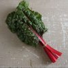 Rhubarb Supreme Organic Swiss Chard Seed