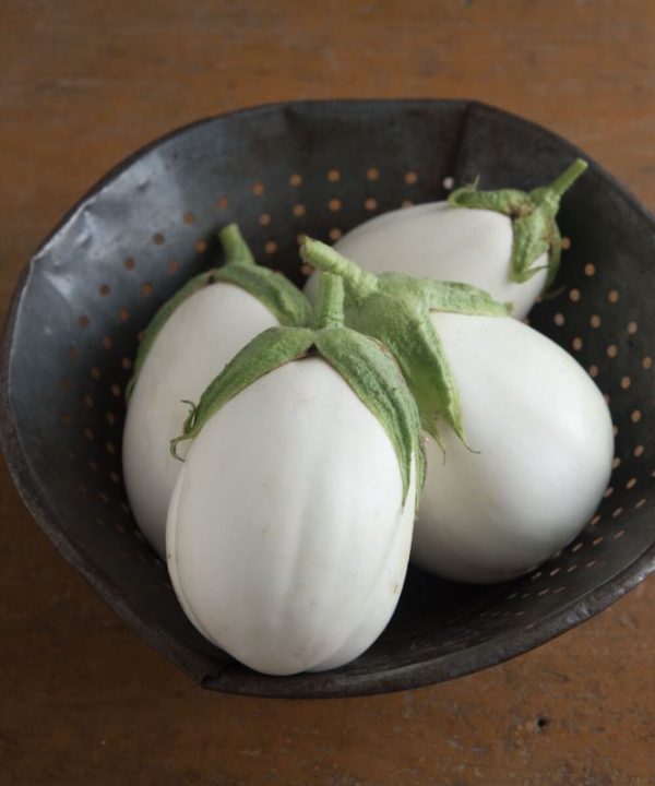Paloma - (F1) Eggplant Seed