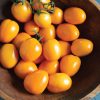 Sunrise Sauce - (F1) Tomato Seed