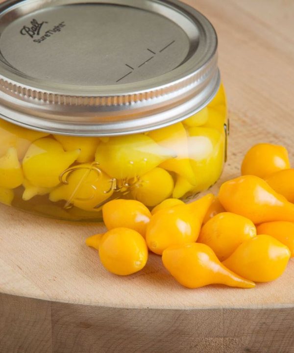 Biquinho Yellow - Piquillo Pepper Seed