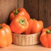 Milena - (F1) Bell Pepper Seed