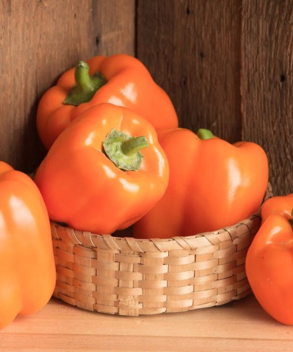 Milena - (F1) Bell Pepper Seed
