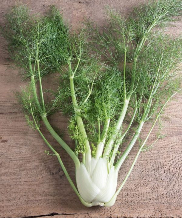 Fino - Organic Fennel Seed
