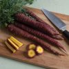 Purple Elite - (F1) Carrot Seed
