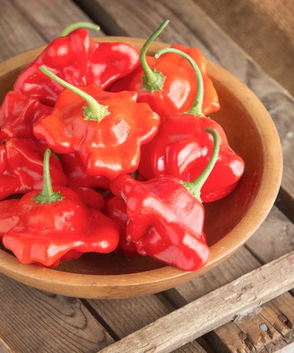 Mad Hatter Pepper Seeds (Bishop's Crown)