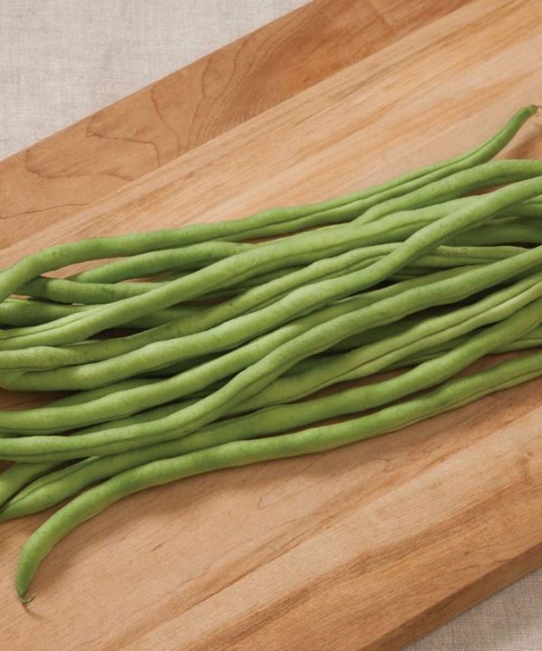 Fortex - Bean Seed