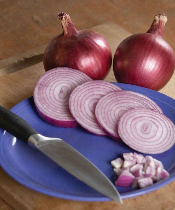 Red Carpet - Organic (F1) Onion Seed