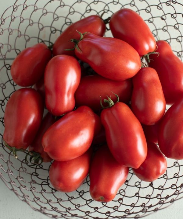 San Marzano II - Organic Tomato Seed
