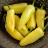 Arriba - (F1) Jalape?o Pepper Seed
