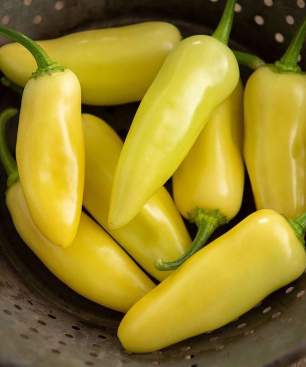 Arriba - (F1) Jalape?o Pepper Seed