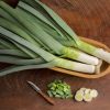 Rally - (F1) Leek Seed