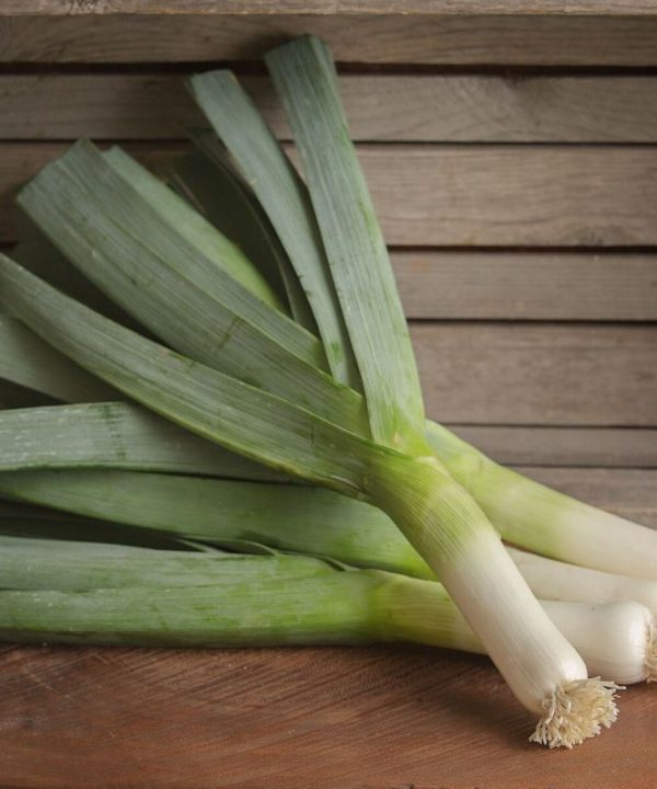 Rally - Organic (F1) Leek Seed