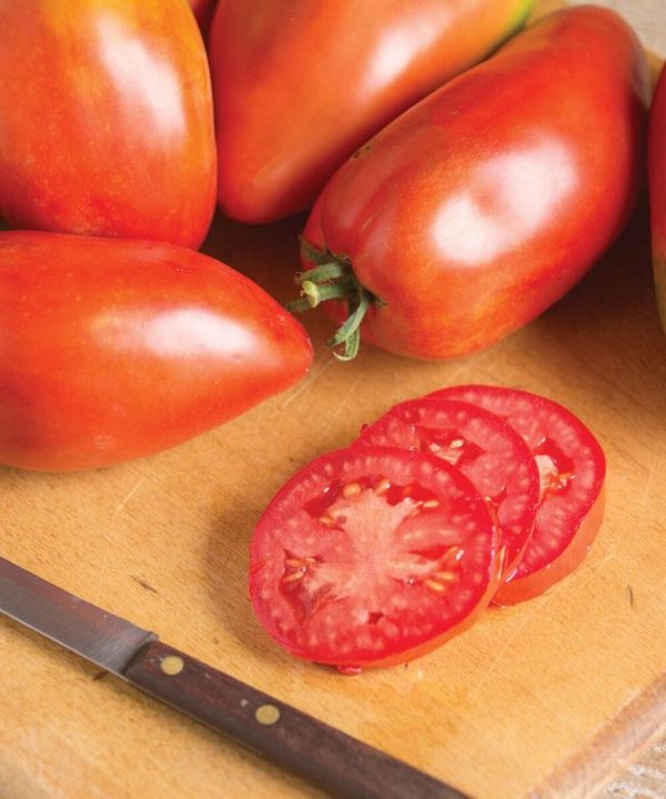 Blue Beech - Organic Tomato Seed