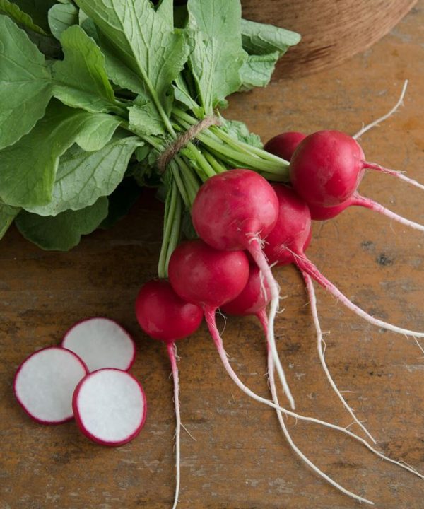 Crunchy King - (F1) Radish Seed