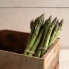 Millennium - (F1) Asparagus Seed