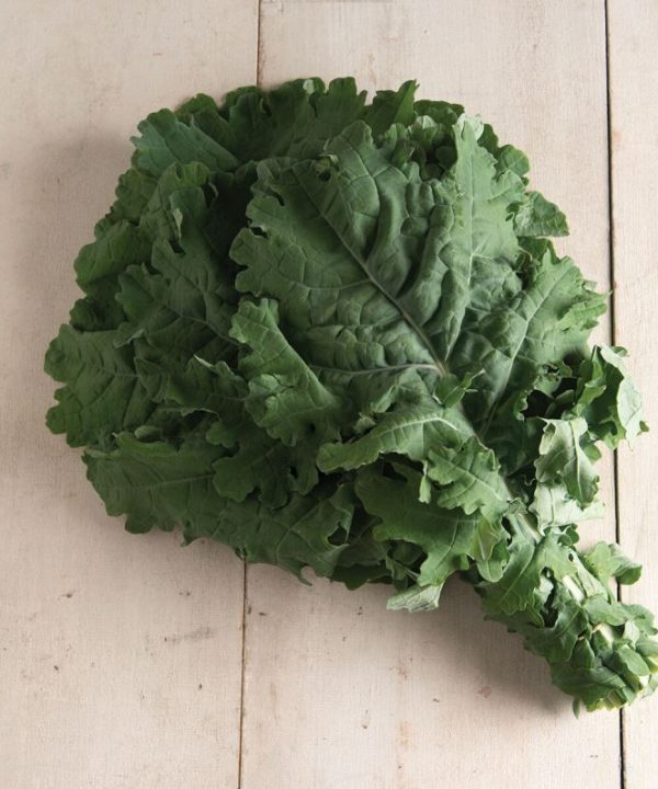 White Russian - Organic Kale Seed