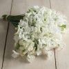 Royal Wedding - Sweet Pea Seed