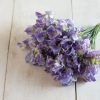 Blue Ripple - Sweet Pea Seed