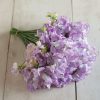 Pulsar - Sweet Pea Seed