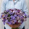 Timeless Mix - Ageratum Seed