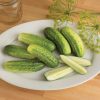 Cool Customer - Organic Cucumber Seed