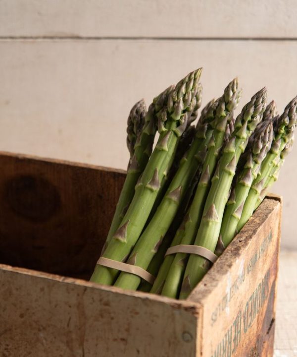 Millennium - (F1) Asparagus Seed