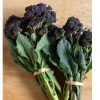 Burgundy - Purple Sprouting Broccoli Seeds