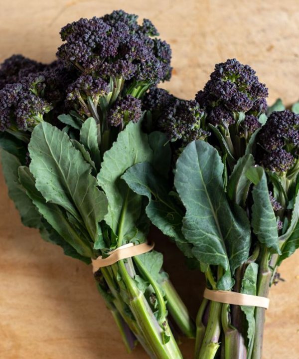 Burgundy - Purple Sprouting Broccoli Seeds