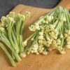Fioretto 70 - (F1) Sprouting Cauliflower Seed