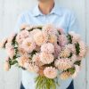 King Size Apricot - China Aster Seed