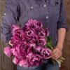 Blue Diamond - Tulip Bulb