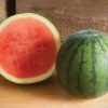 Sorbet - (F1) Watermelon Seed