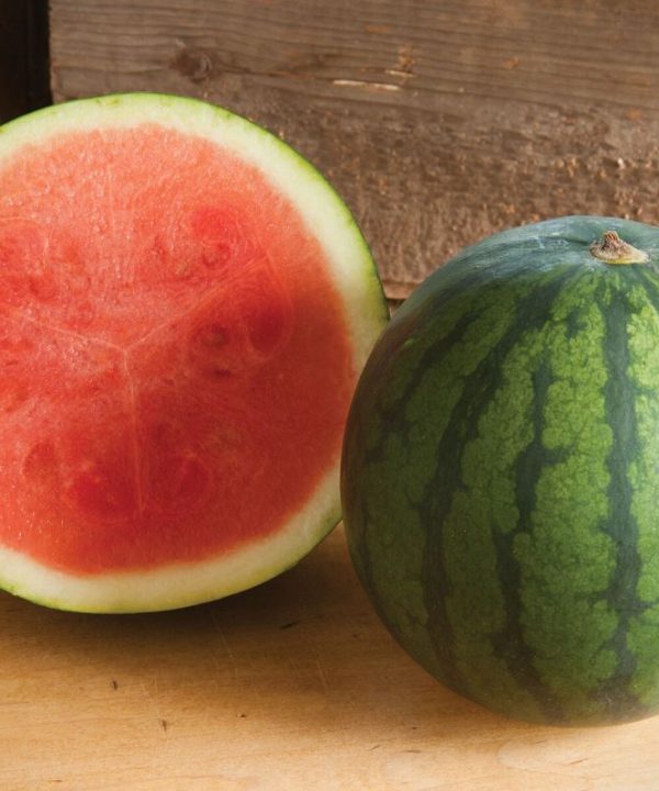 Sorbet - (F1) Watermelon Seed