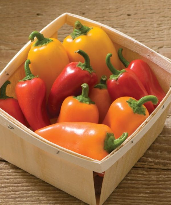 Lunchbox Pepper Mix - Organic Snack Pepper Seed