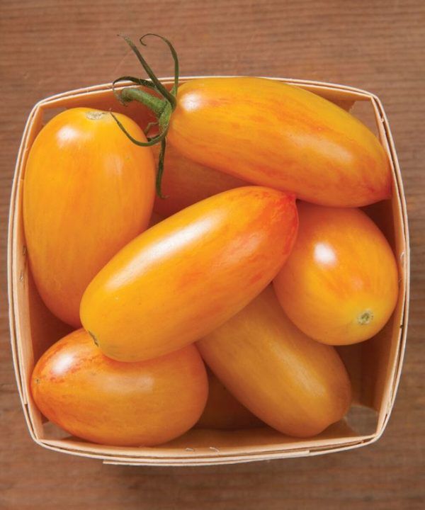 Blush - Organic Tomato Seed