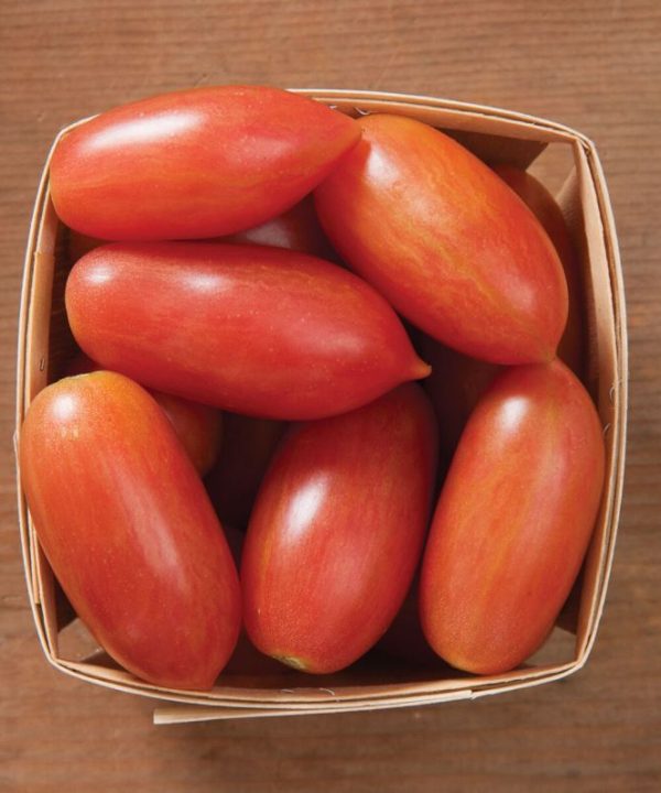 Pink Tiger - Organic Tomato Seed